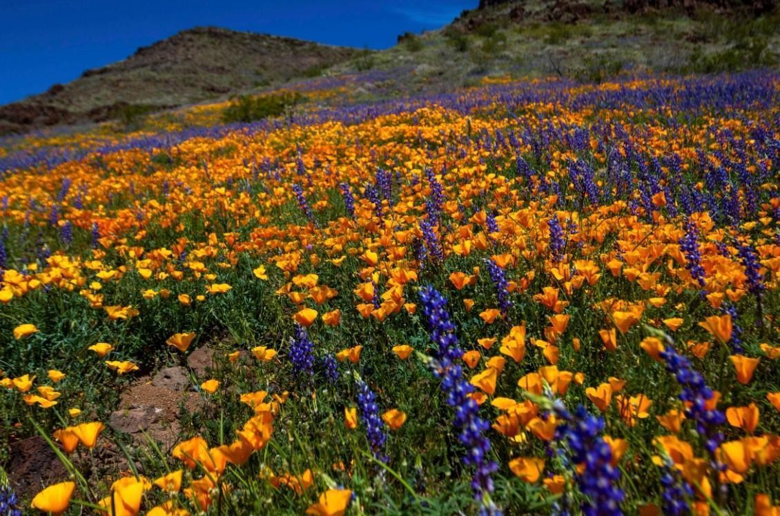 This Bread Pudding Will Give You All the Fall Feels